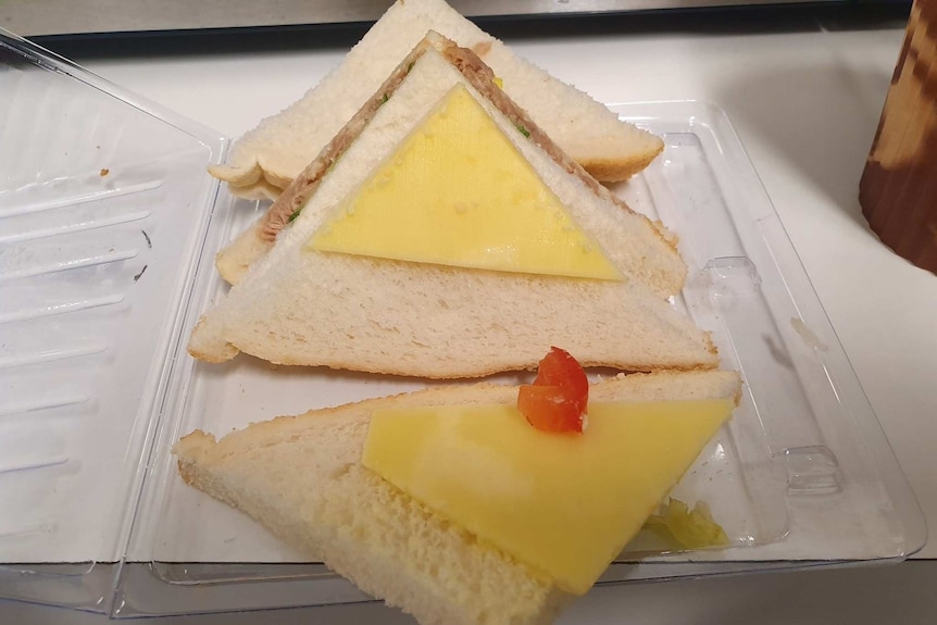 A opened sandwich with sliced cheese and a tiny piece of tomato