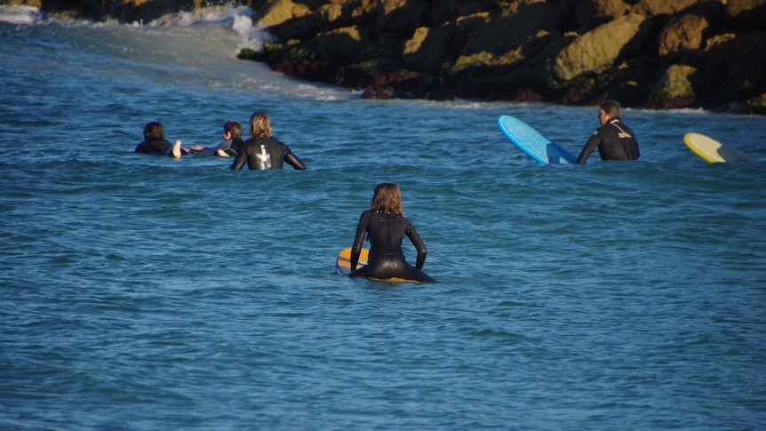 Surfers at Sorrento where the State Government and City of Joondalup are planning to install a shark barrier