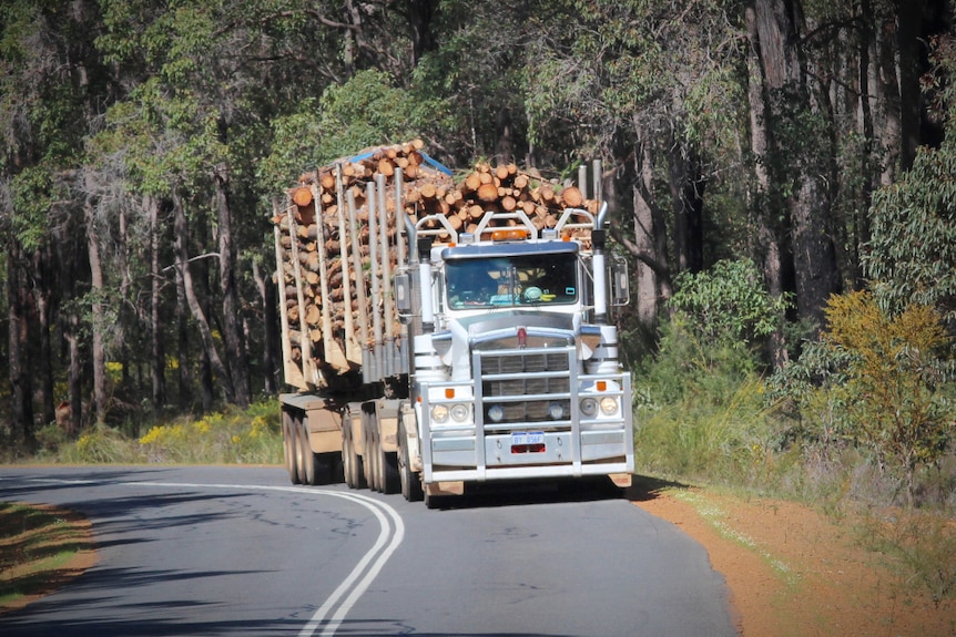 A logging truck meanders down a rural road