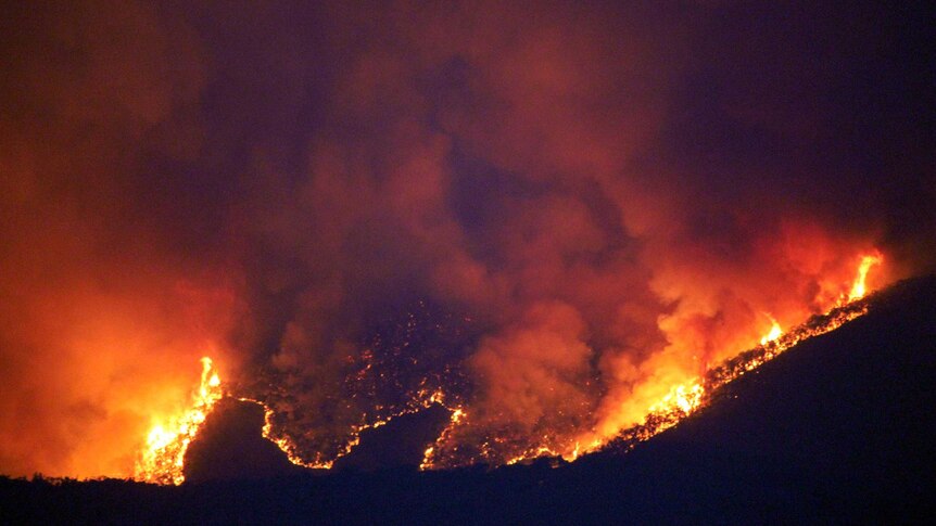 A bushfire burns near Batlow in New South Wales after lightning started the fire.