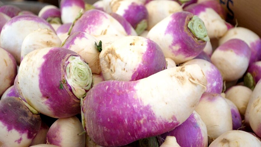 Pile of turnips.