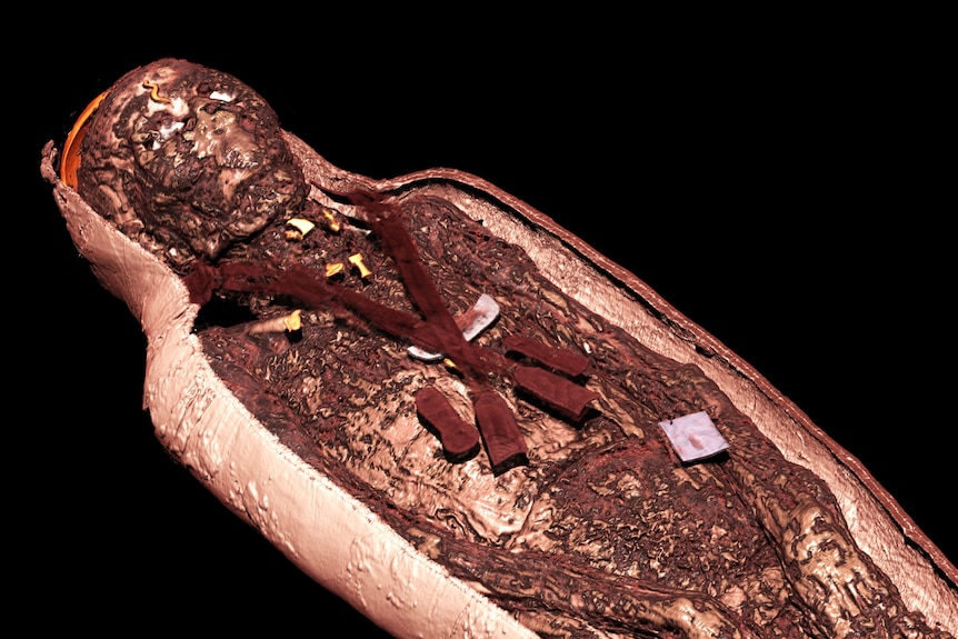 Unwrapping the mystery: Nesperennub shown through non-invasive x-ray and CT scanning.