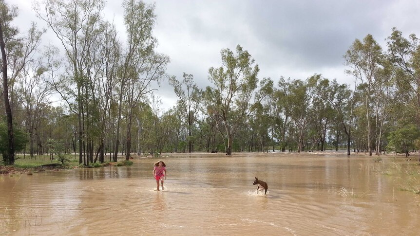 A little girl and her dog playing in water at flooded Wendouree, Queensland