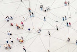 Graphic of a crowd of people connected together by a web of lines.