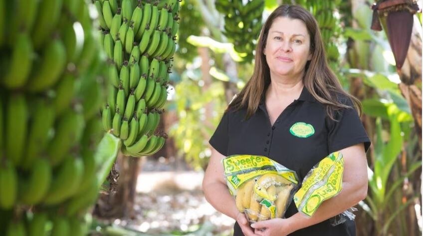 A woman standing in front of banana trees holding packets of bananas