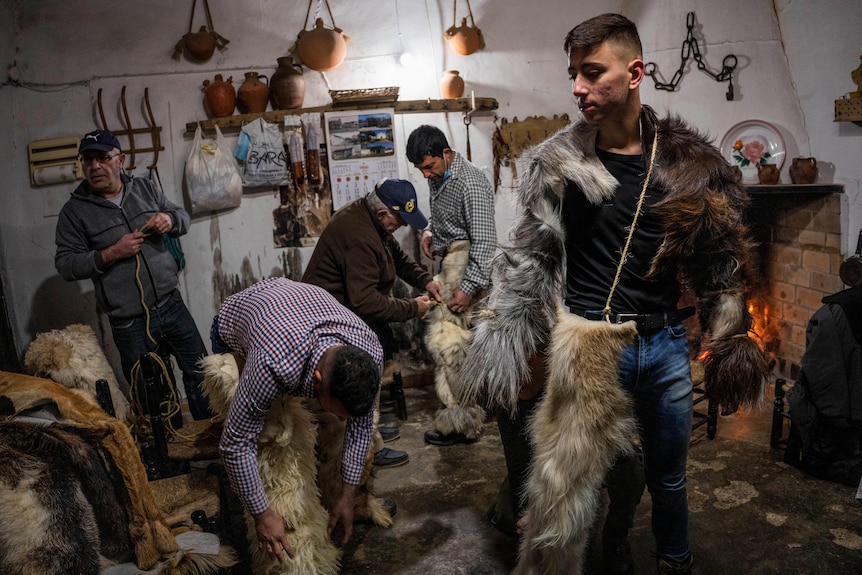 Los hombres usan piezas de piel de oveja