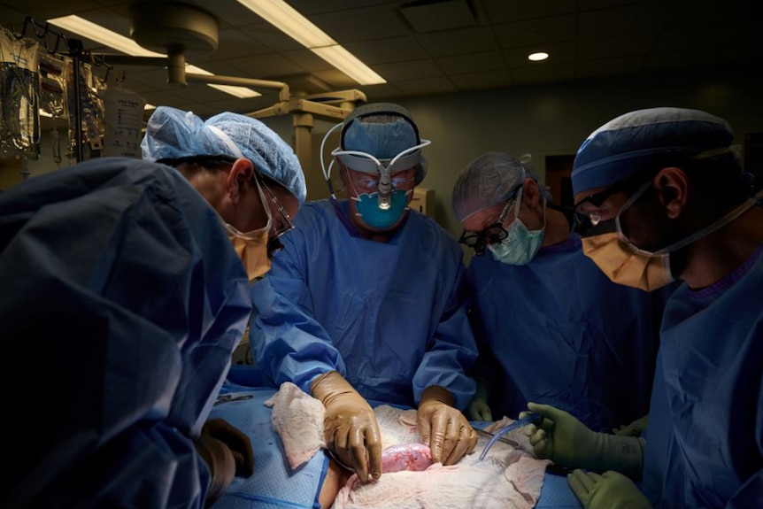 Surgeons in blue scrubs operate on a person in a dark theatre 