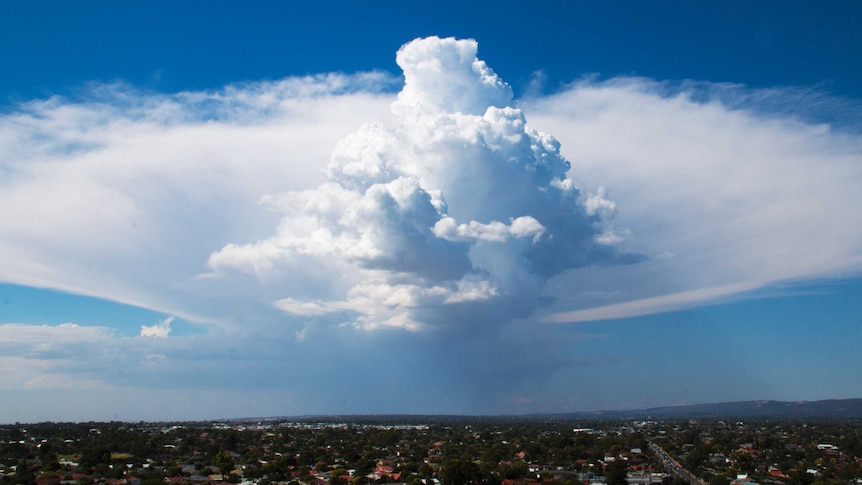 Anvil cloud over Adelaide