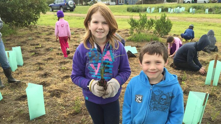 Children planting trees at a community garden