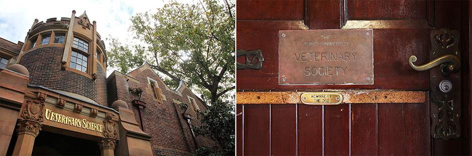 Two images: 'Veterinary Science' in elaborate scrollwork over a door, and a door with an engraved plate on it.