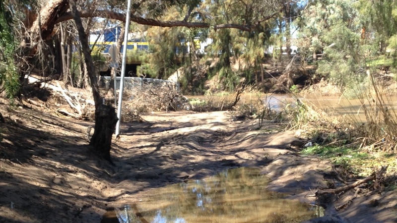 Linear Park path covered in mud