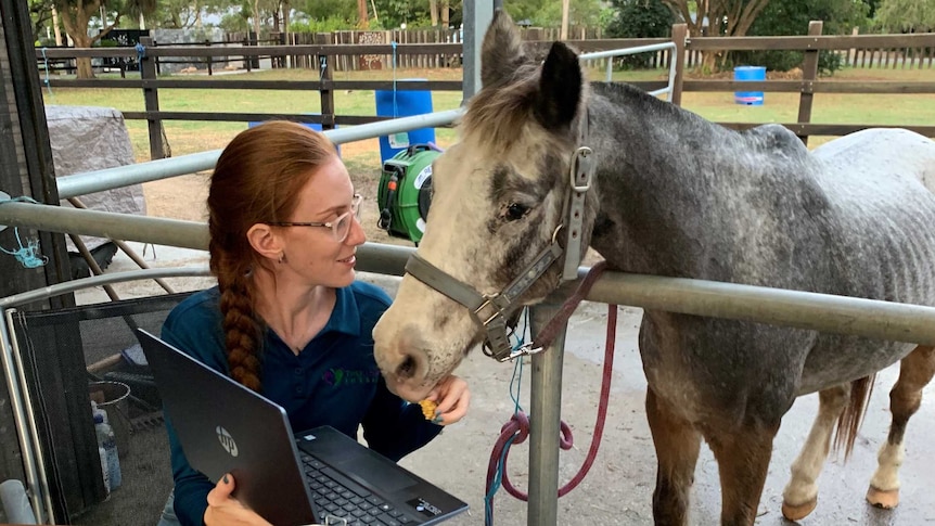 A woman sits in front of a laptop with a horse looking over her shoulder at the screen.