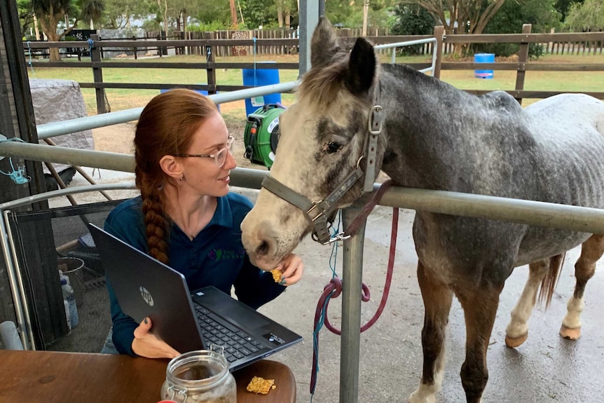 A woman sits in front of a laptop with a horse looking over her shoulder at the screen.