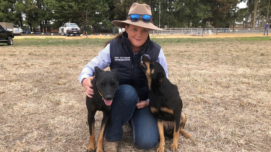 A woman kneels down to hug two kelpies in a paddock.