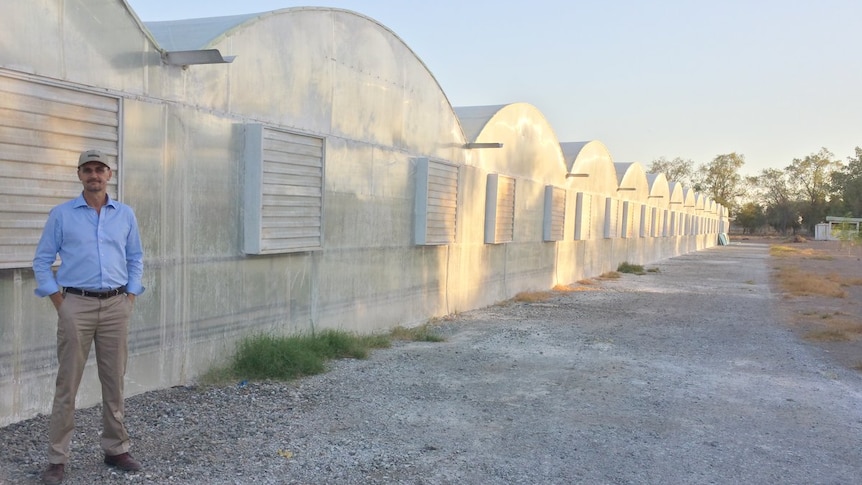 A man stands in front of a long greenhouse