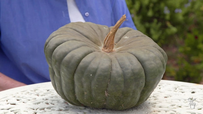 A large pumpkin sitting on a white metal garden table