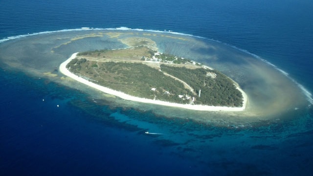 Lady Elliot Island is a wildlife haven at the southern edge of the Great Barrier Reef.