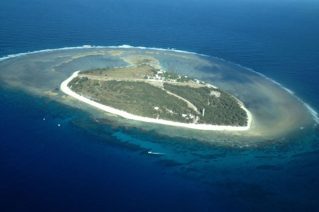 Lady Elliot Island is a wildlife haven at the southern edge of the Great Barrier Reef.