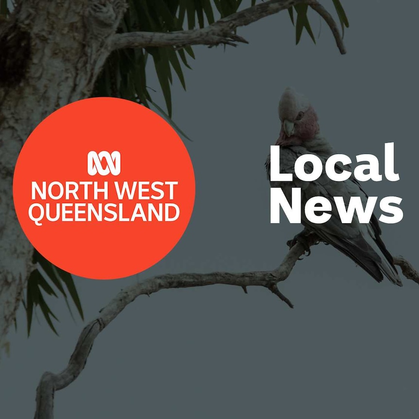ABC North West Local News - ABC listen