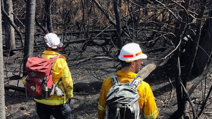 Firefighters surrounded by blackened bush in Tasmania