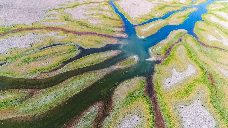 An overhead picture of waterways snaking through a brightly coloured landscape.