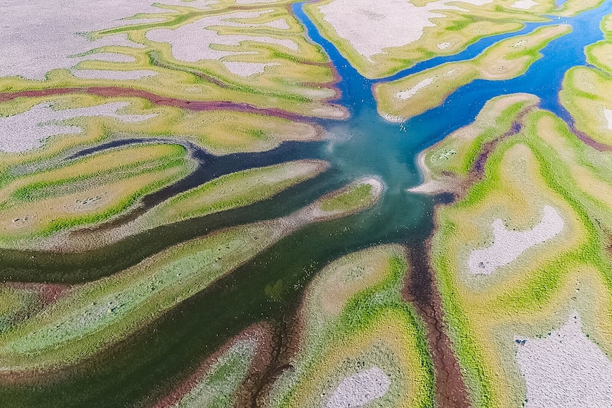 An overhead picture of waterways snaking through a brightly coloured landscape.