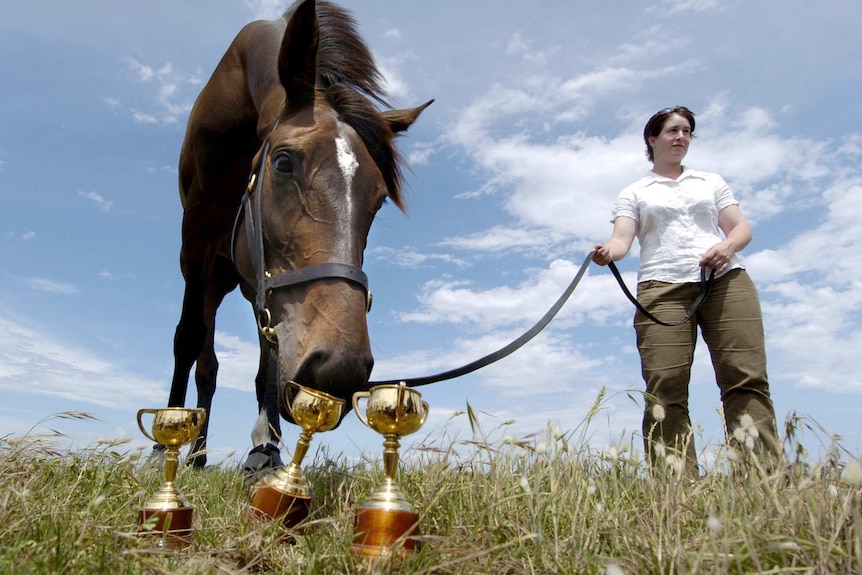 Makybe Diva and three Melbourne Cup trophies