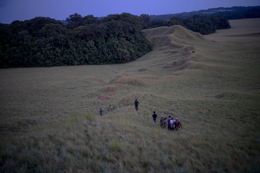A trail of people can be seen walking through grassland with forest in the distance