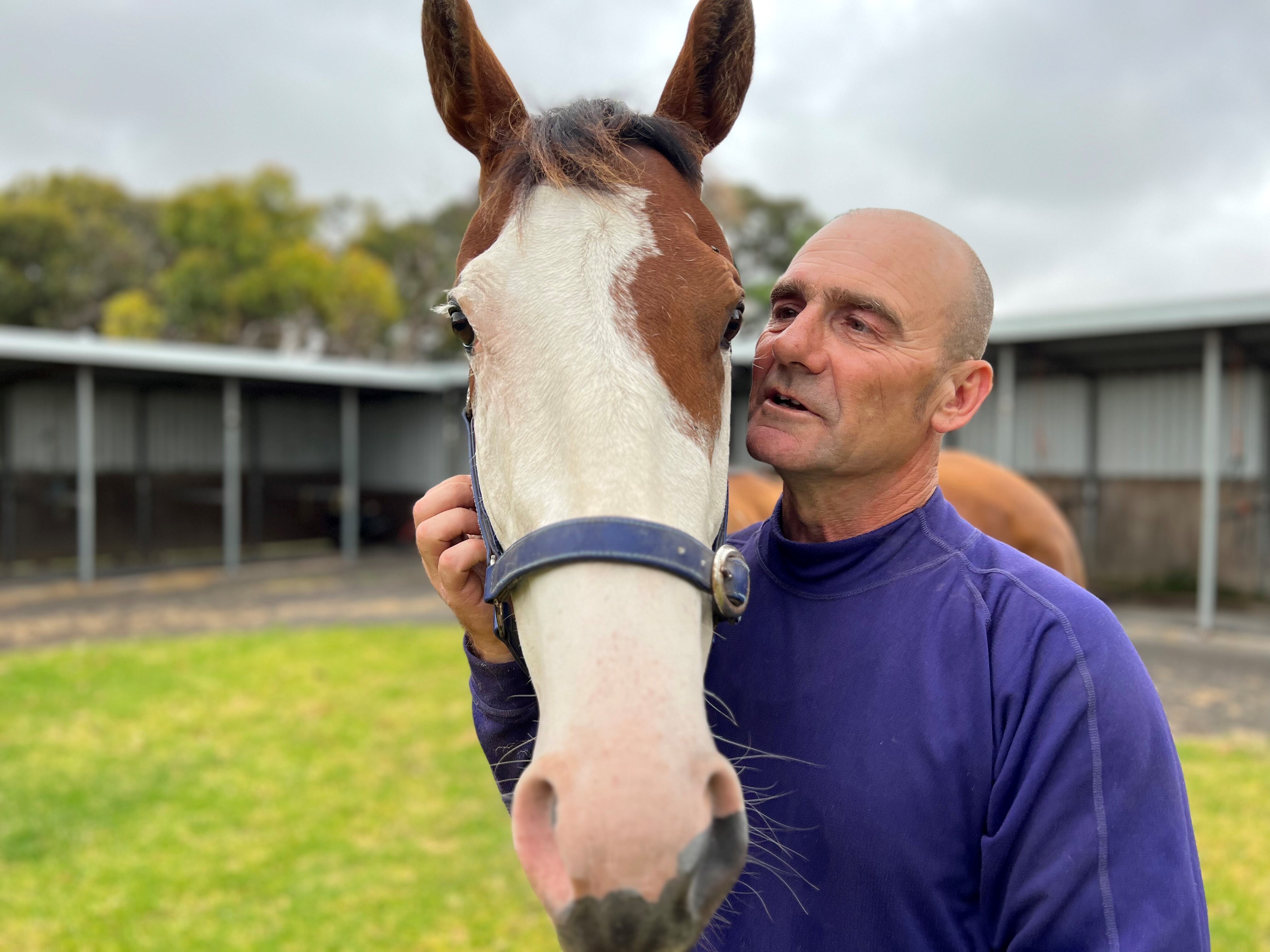 Racehorse Comanche Queen saves SA trackwork rider Danny Smith from life