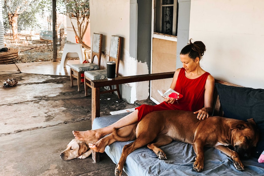 A woman sits on a day bed next to two large dogs, reading a book of poetry.