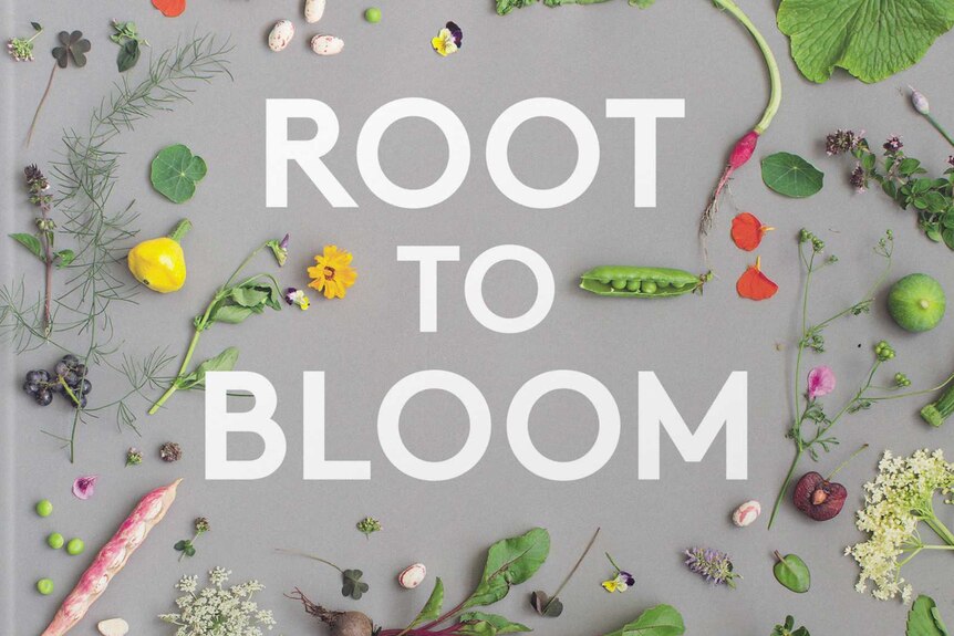 Root to Bloom book cover
