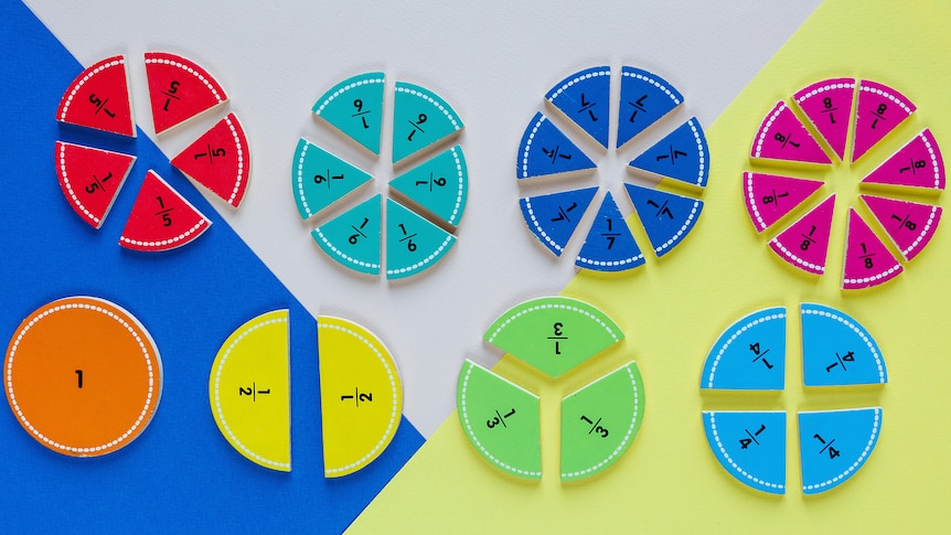 Circles divided into sections with fractions written on them