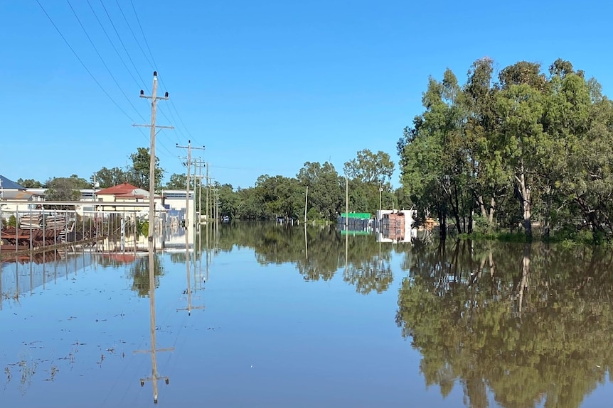 Chinchilla floodwaters