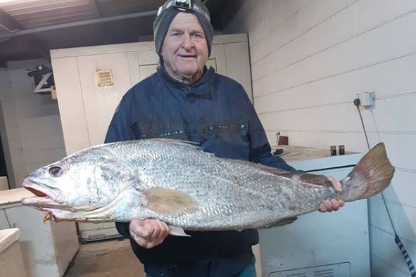 Greg Sichter wears a beanie and fishing clothes, holding a large Black Jewfish in his garage.