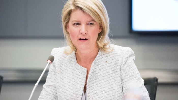 Natasha Stott Despoja speaks at World Bank wearing a white blazer.