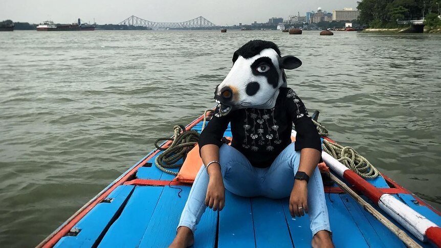 A woman wears a cow mask while sitting on a boat on a river in Kolkata.