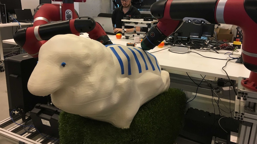 A model sheep sits in a robotics lab.