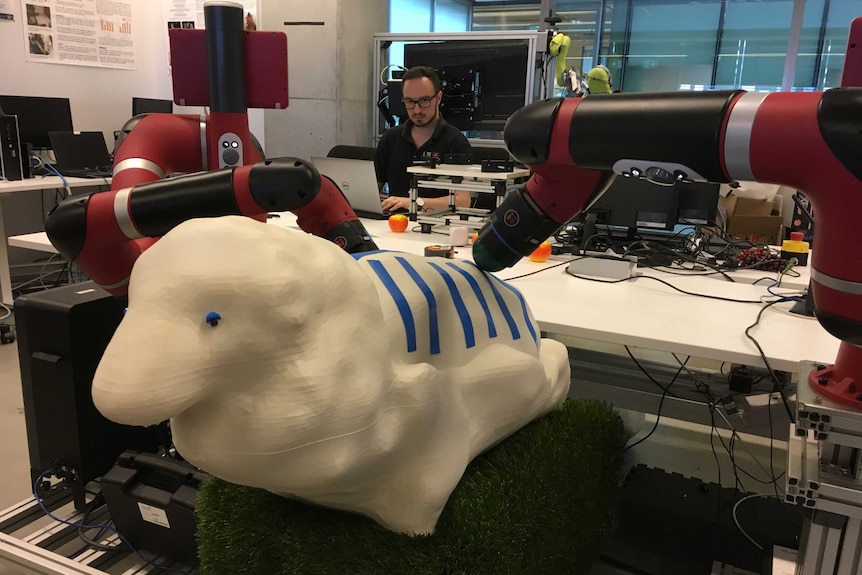 A model sheep sits in a robotics lab.