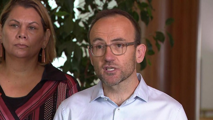 'There is more to do': Greens Leader Adam Bandt on safeguard mechanism deal with Government