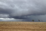 A storm delivers rain on the horizon in western Queensland.