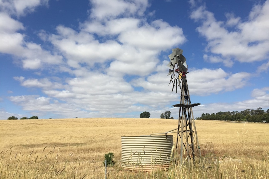 A windmill and water tank in front of a paddock of dry grass, with a blue sky and clouds in background.
