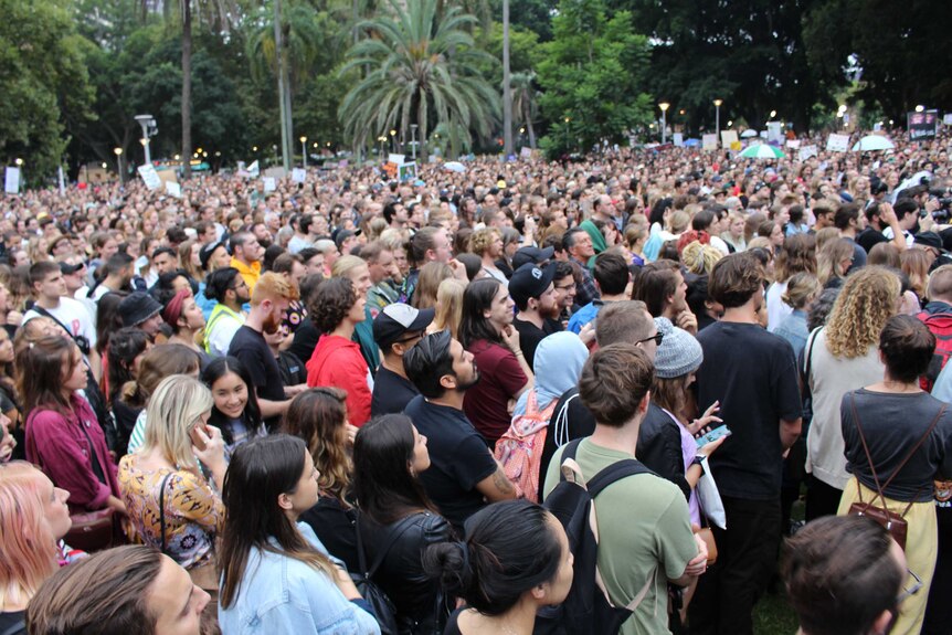 A crowd of people stand in a park.