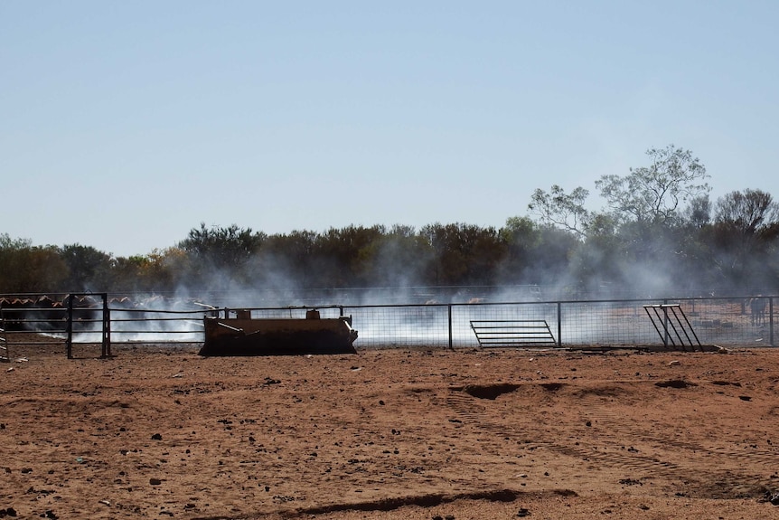 Smoke billowing from the ground in a set of cattle yards.