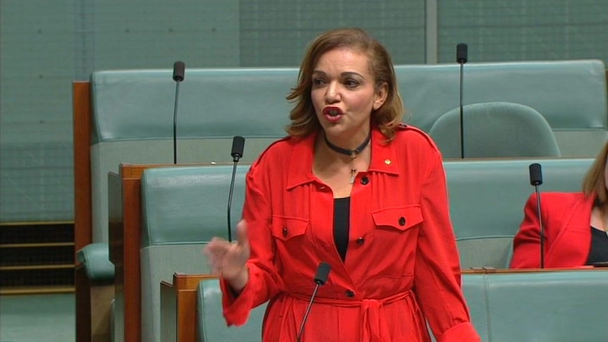 'Disgraceful': Anne Aly responds to Anning speech