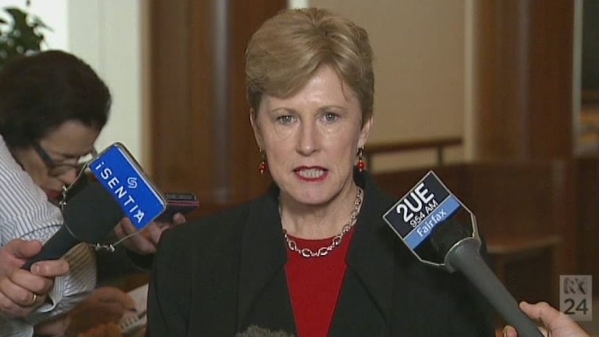 Greens leader Christine Milne explains her party's decision to block fuel excise