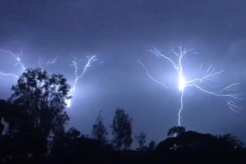Two bolts of lightning across a night sky behind trees on a suburban skyline