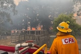 A firefighter looking at a bushfire