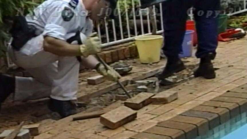Digging up the pool police vision