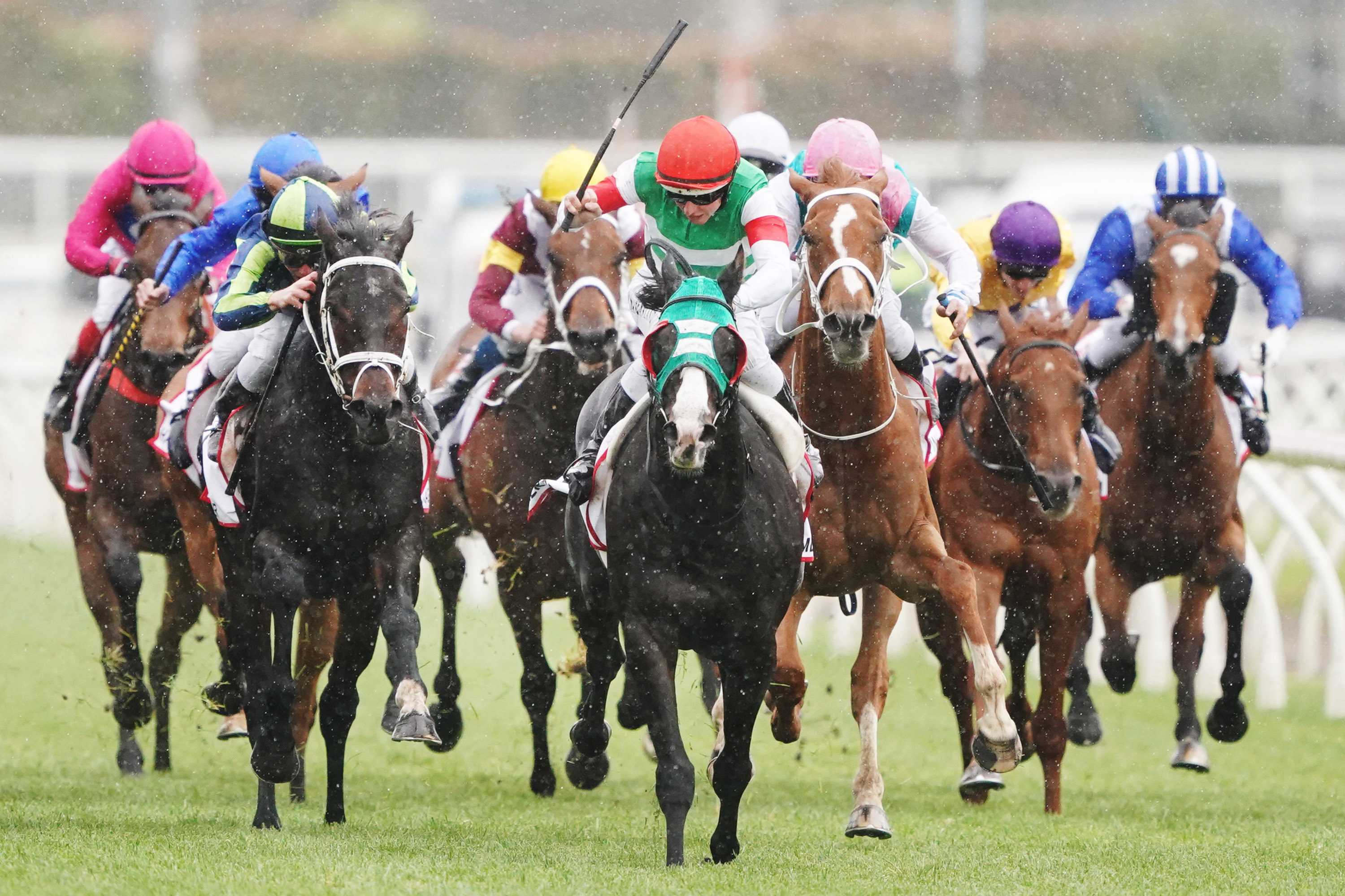 We Should Act On Horse Racing Cruelty Bruce Mcavaney Says But Why Hadn T We Acted Already Abc News