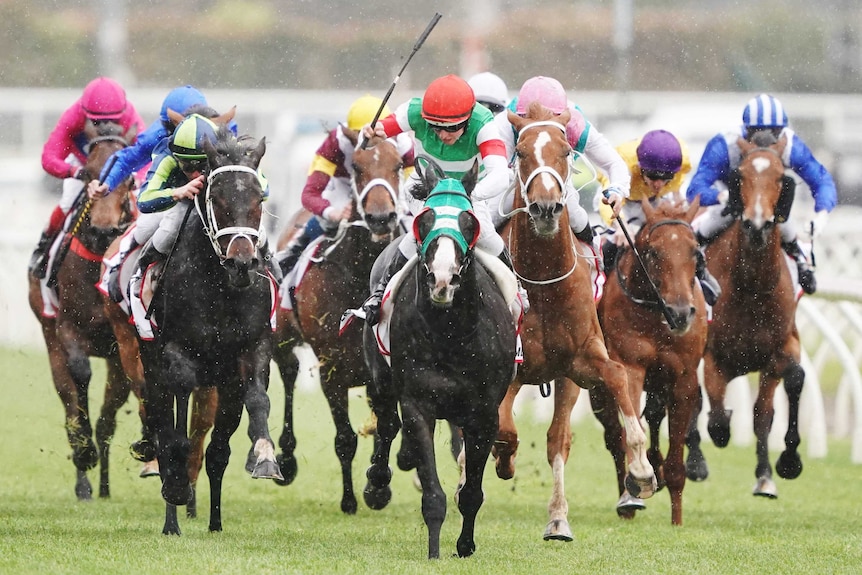 Damian Lane riding Mer De Glace to victory in the Caulfield Cup.